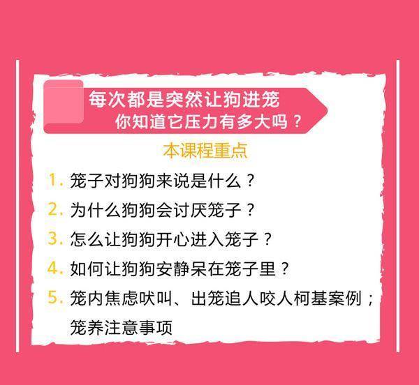 新奥门正版免费资料大全旅游团,深入数据解析策略_黄金版48.731